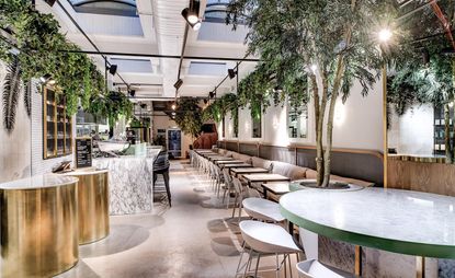 A view through the restaurant featuring trees and hanging foliage and marble counter-tops