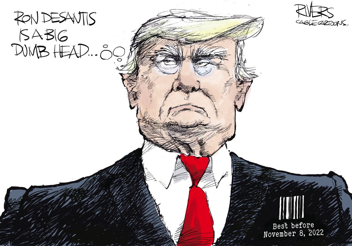 best-before-expired-the-week