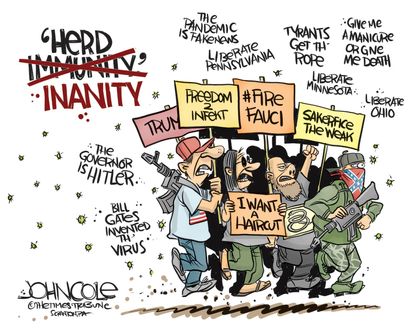 Editorial Cartoon U.S. anti lockdown protesters herd immunity coronavirus