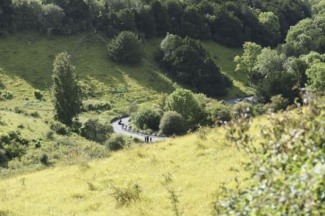 View down on Box Hill