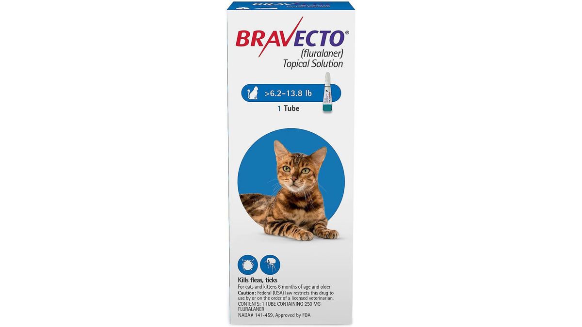 Best flea treatments for cats 2022 PetsRadar