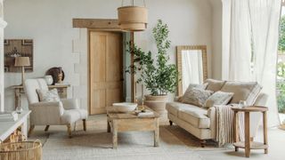 A lightly decorated living room with a comfortable double sofa facing a matching arm chair, a rustic coffee table in the center of them. A large green houseplant in a pot behind