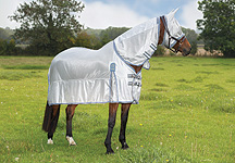 flug-fly-rug.jpg