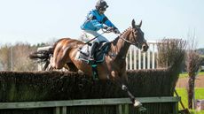 point-to-point champions