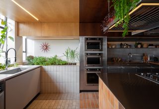 A kitchen with a small corner with herb garden