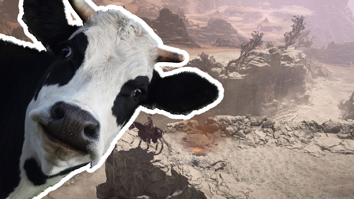 اوه اوه، توسعه دهندگان Diablo 4 دوباره یک Cow Level را اذیت می کنند