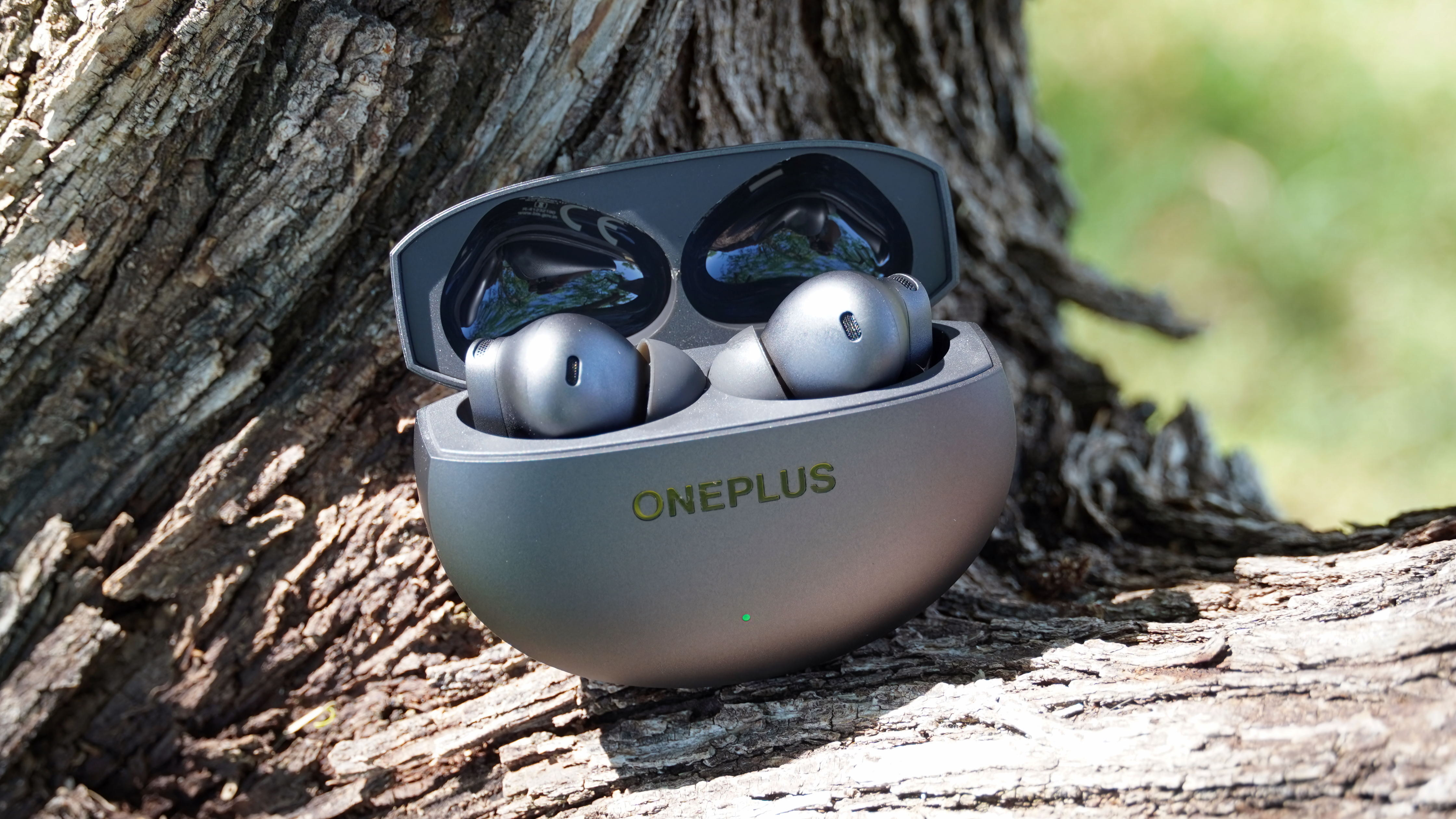 The OnePlus Buds 4 in Storm Gray in their case, nestled in a tree.