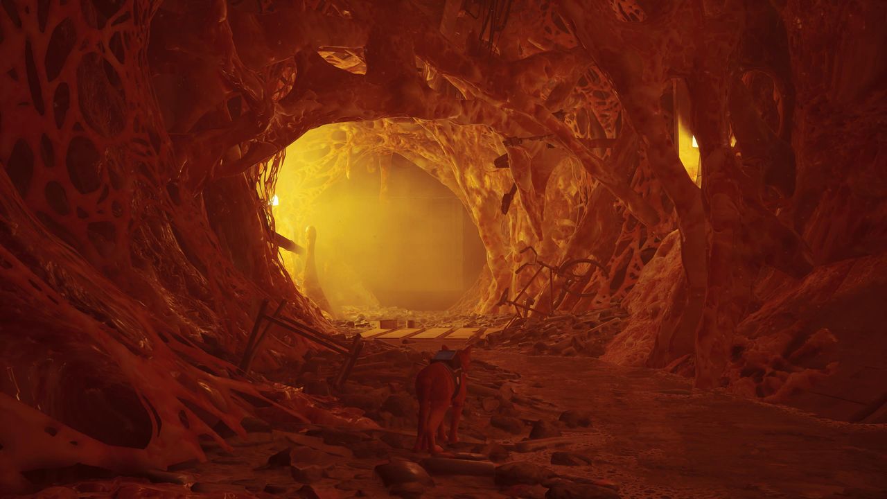 The Sewers in Stray