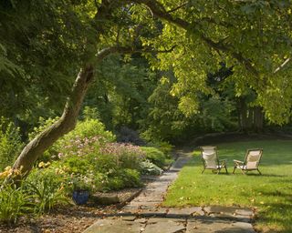 Mature trees in garden