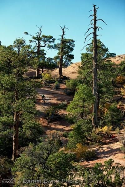 Alex Grant rides one of countless slickrock sections at the Enhilada Enduro