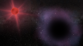 An illustration of a red giant star orbited by a shadowy stellar mass black hole