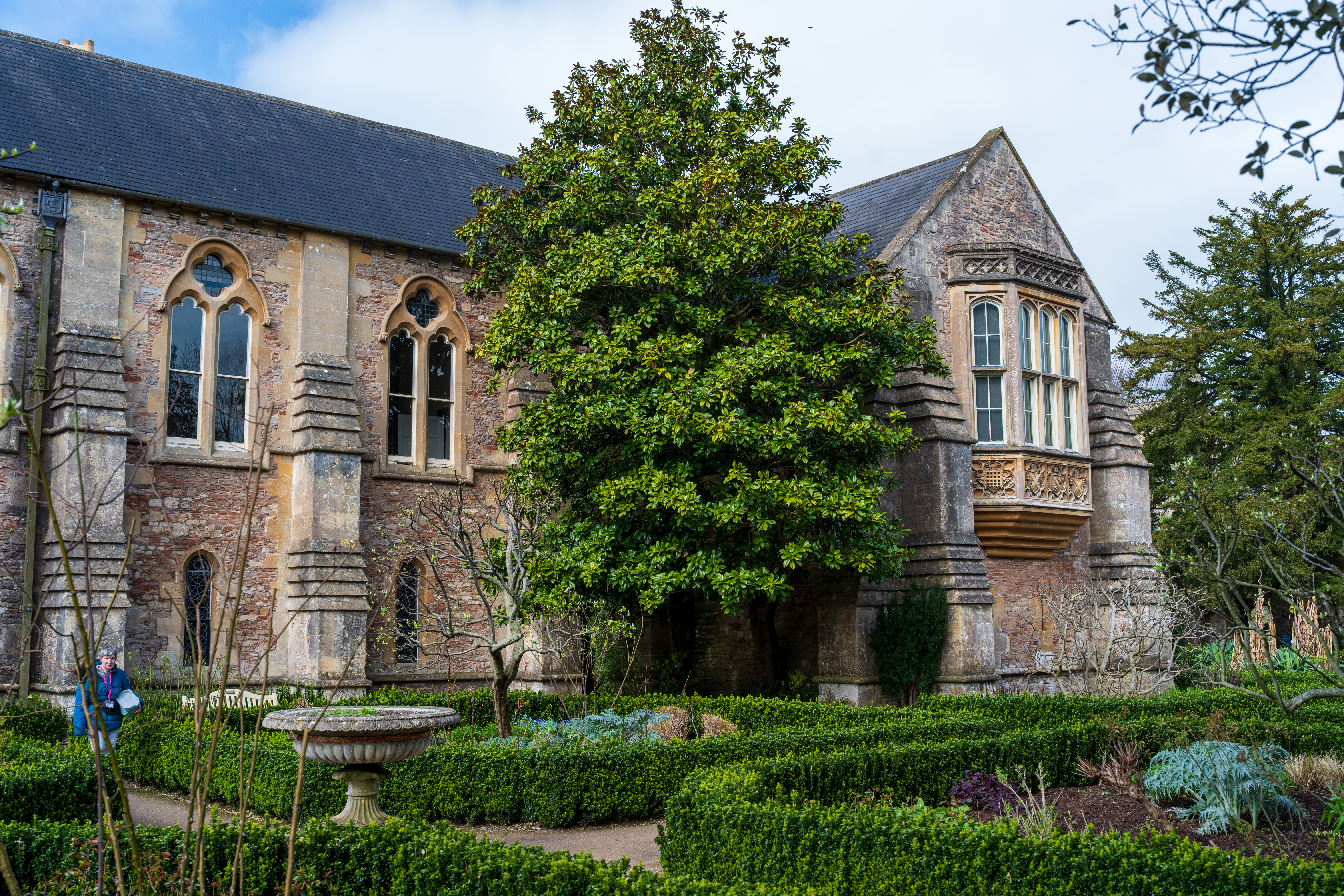 Viltrox AF 35mm f/1.8 Evo II sample shot