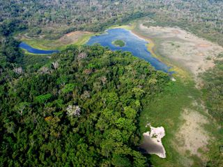 Entire bodies of water in Guatemala's Maya Biosphere reserve dry out during extreme climatic events, putting wildlife and forest communities at risk.