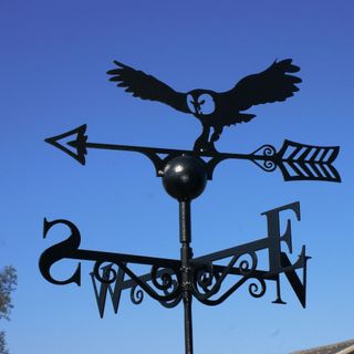 owl weathervane from Waitrose Garden