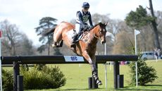 HorseNo954_Belton16pn_1070_402897001_722206691.jpg