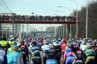 Fans, Tour of Flanders 2010