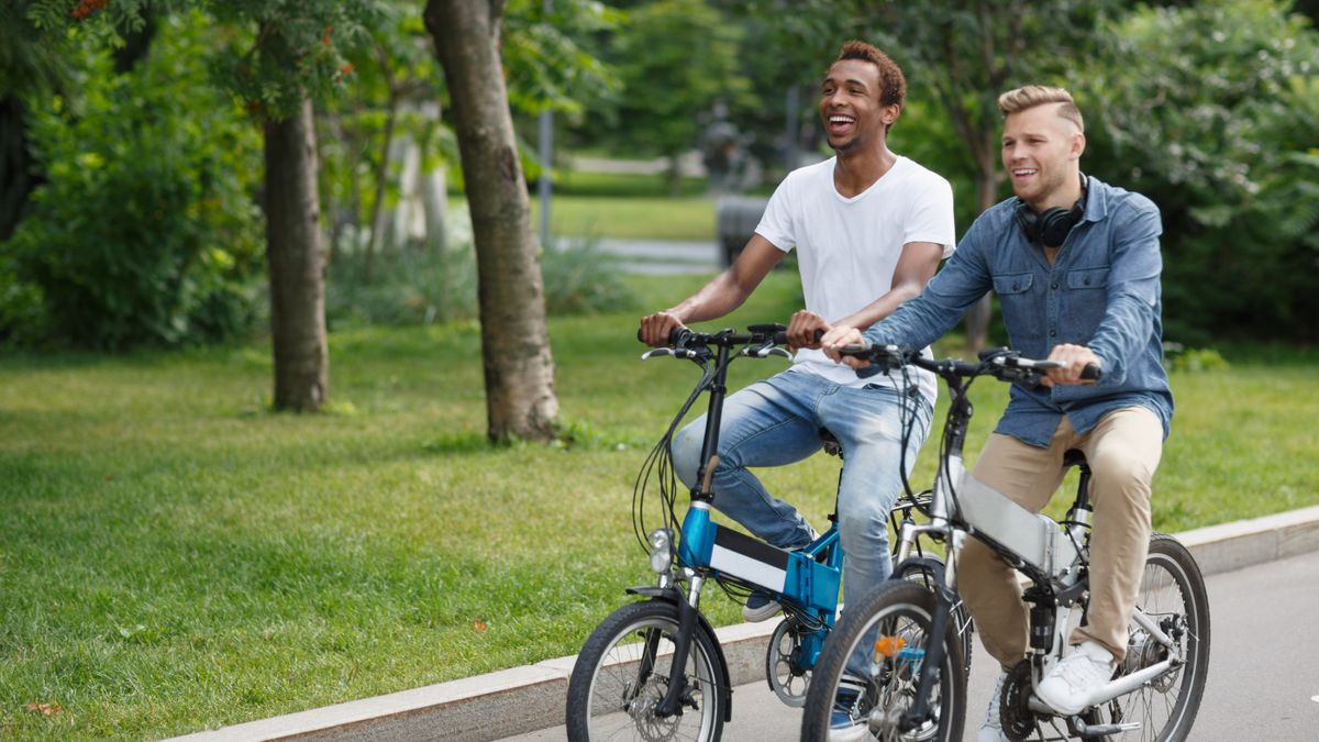 Electric bike