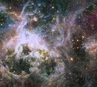 New Hubble Infrared View of the Tarantula Nebula