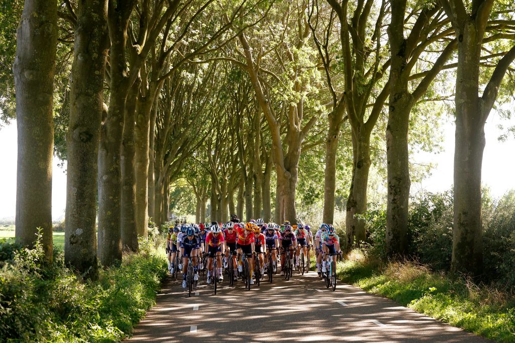 GENNEP NETHERLANDS SEPTEMBER 06 A general view of the peloton passing through a landscape during the 25th Simac Ladies Tour 2023 Stage 1 a 1391km stage from Gennep to Gennep UCIWWT on September 06 2023 in Gennep Netherlands Photo by Bas CzerwinskiGetty Images