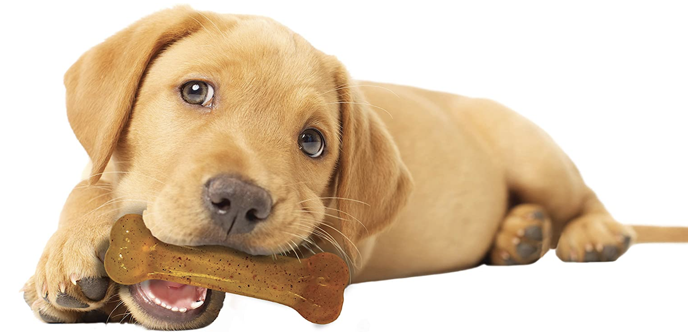 Nylabone