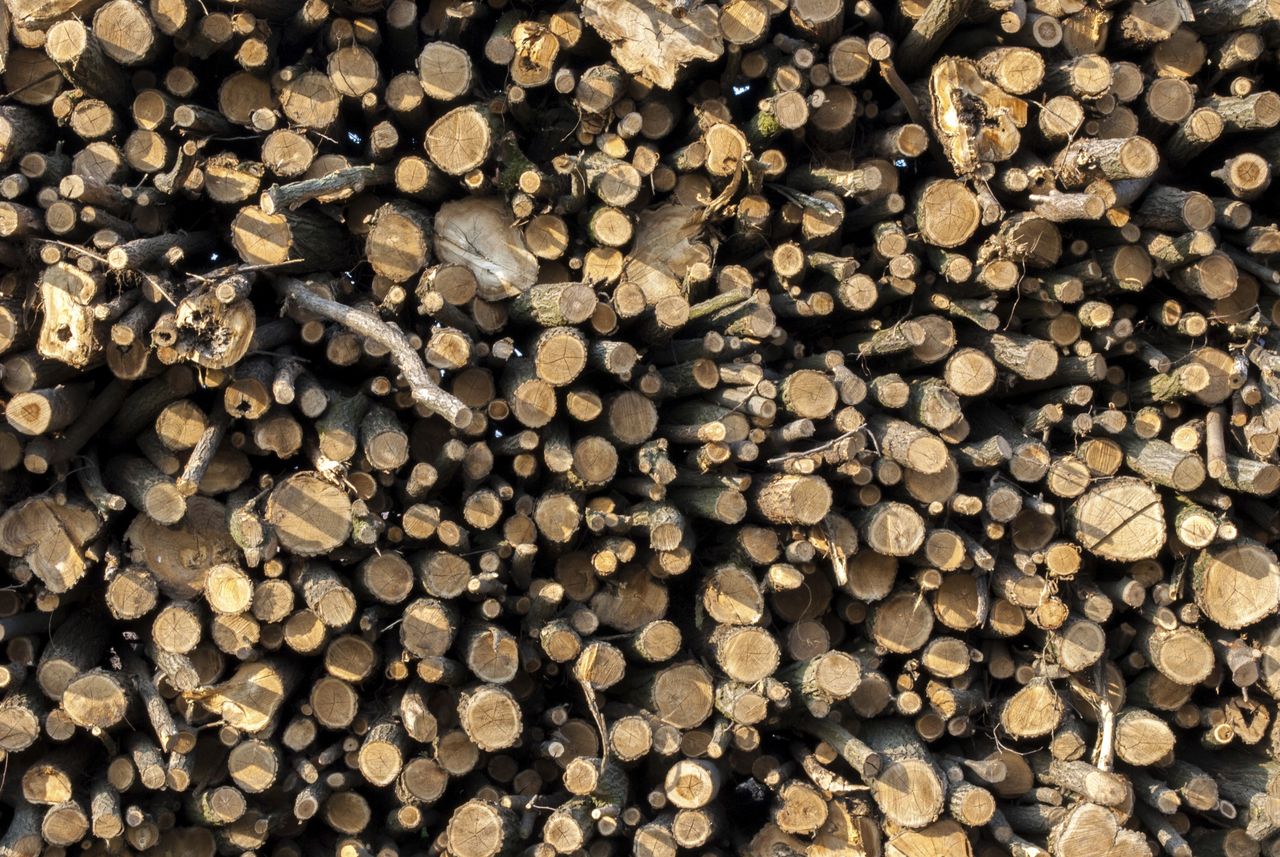 A plastic replacement may be found in wood.