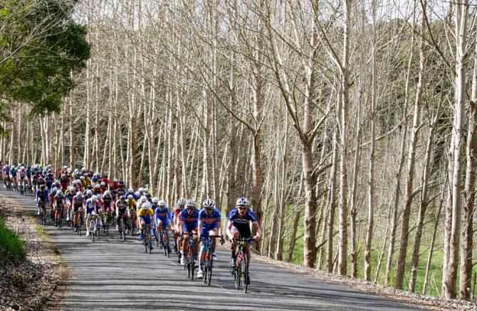 The peloton on its way to Yinnar