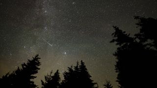 A photograph of a meteor in a starry sky against the silhouette of trees