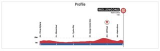 Profile of the final 5km of the UCI Road World Championships 2022 road race
