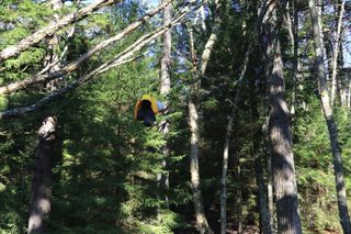Campers food hangs in trees to secure it from bears