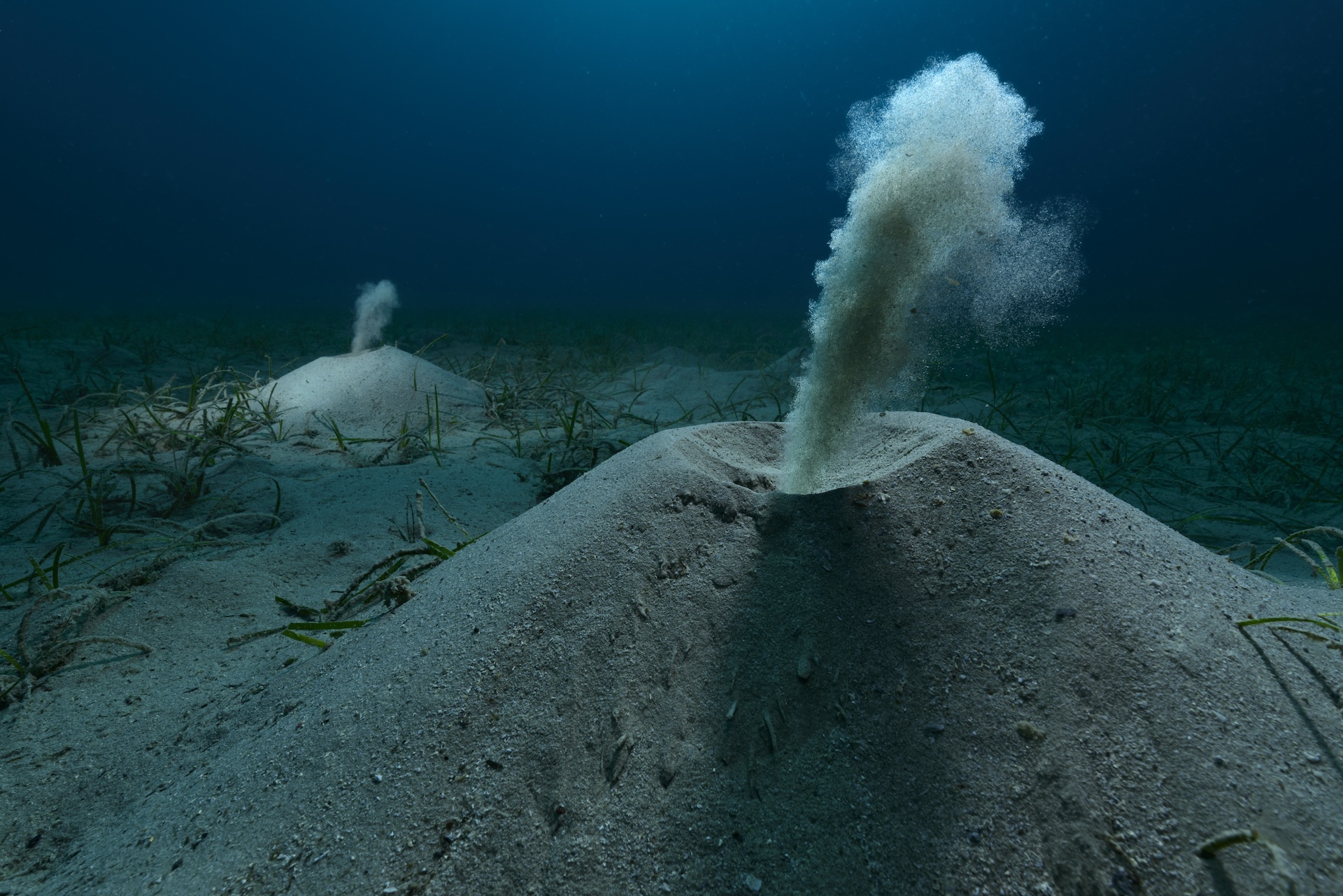 An underwater photograph of plumes of sand rising from the ocean floor