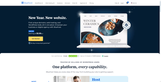 Bluehost home page in 2025