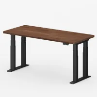 FlexiSpot 4-Leg standing desk E7 Plus Max FlexiSpot 4-Leg standing desk E7 Plus Max