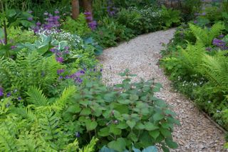 Gravel path in backyard