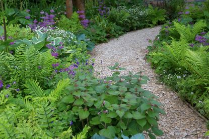 How to design a garden path – expert advice on creating the perfect ...