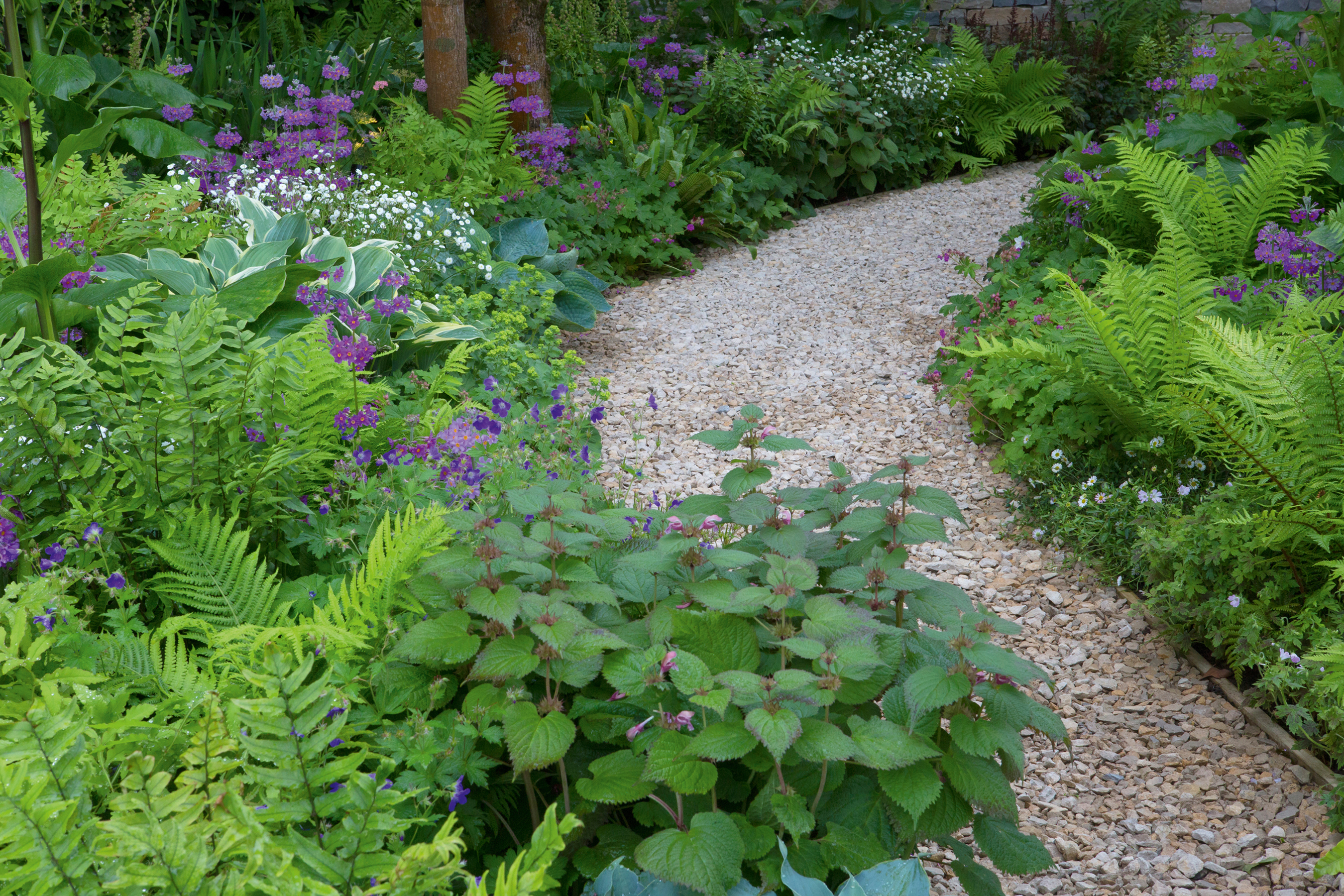 Gravel path in garden