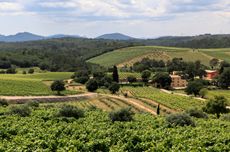 Chateau La Mascaronne