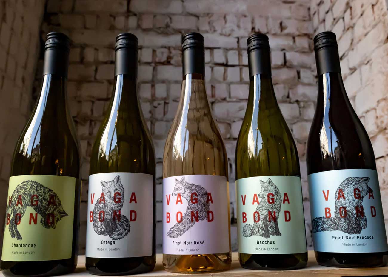 A row of wine bottles