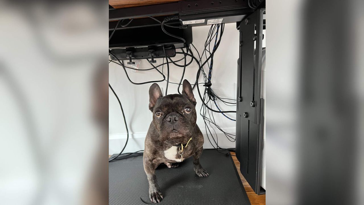 Tim's cable management solution