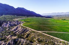 Pyros Vineyard