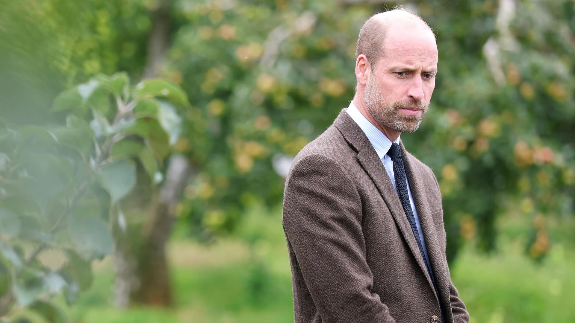 Prince William looking serious in front of an apple tree