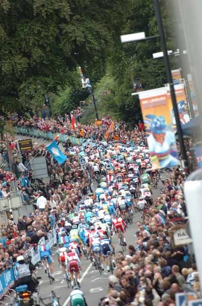 The peloton climbs the Cauberg
