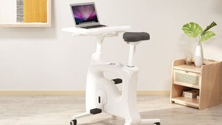 best standing desk: Flexispot Deskcise Pro V9