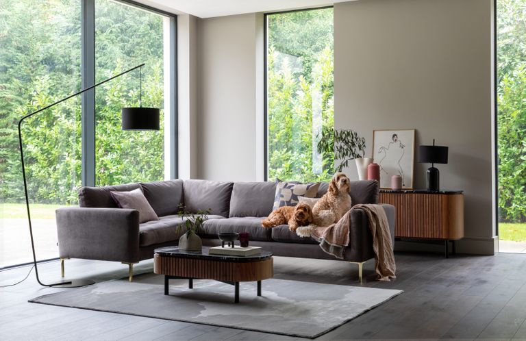 Living room with grey sofa 