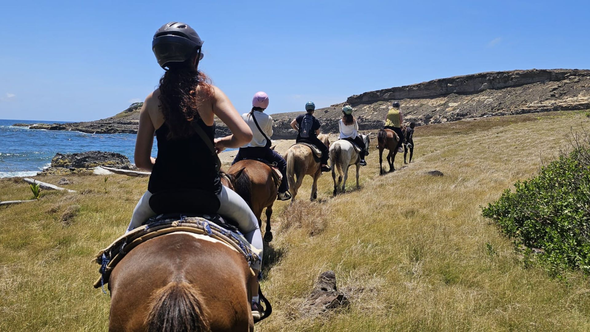 picture of group on horseriding excursion