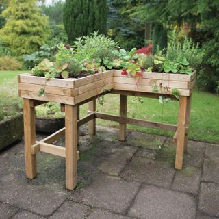 raised planter used as a herb garden