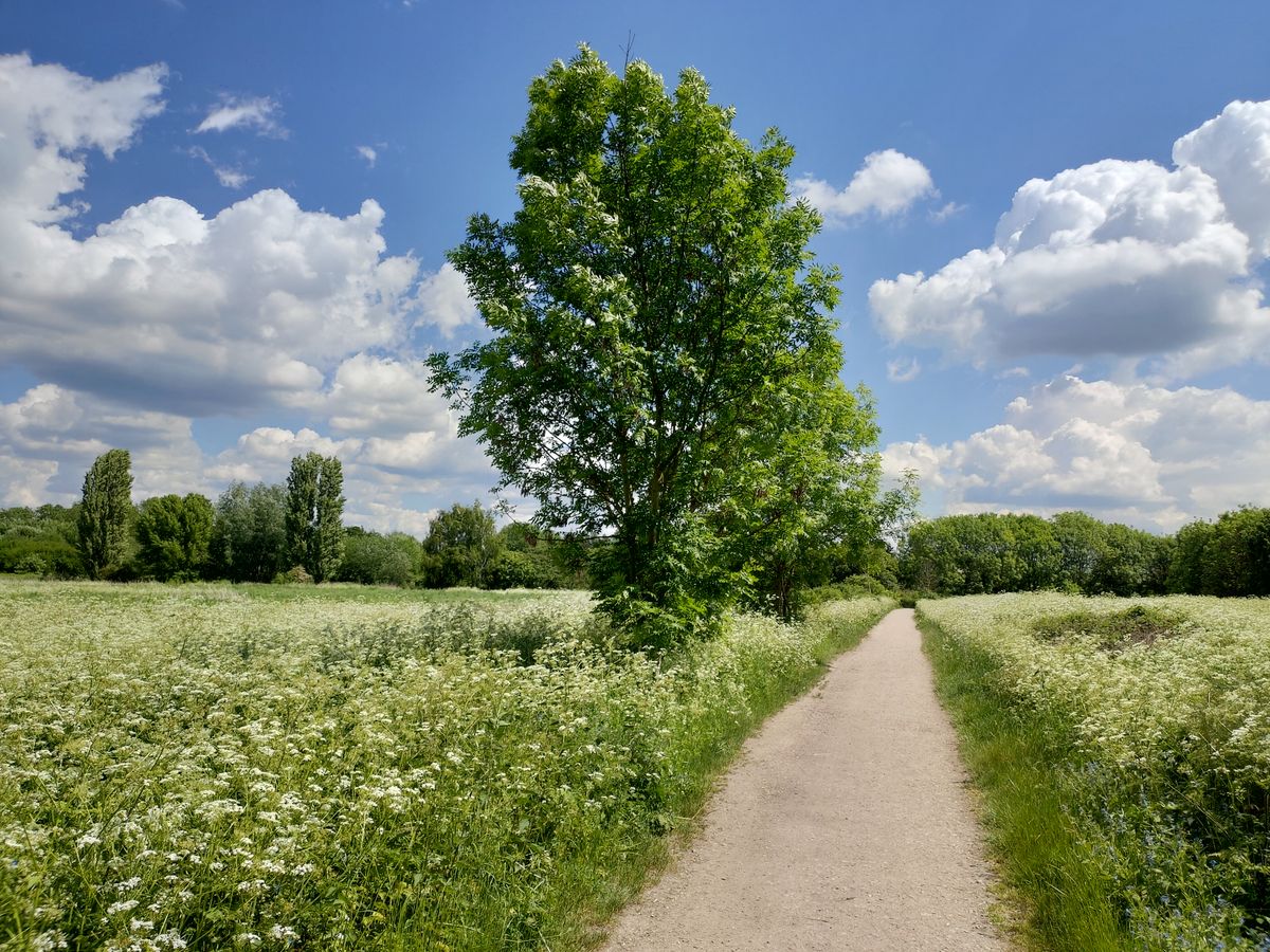 Bright photos give day-lit scenes plenty of energy. Image credit: TechRadar