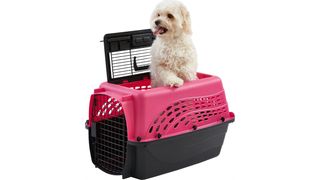 Frisco Two Door Top Load Plastic Dog Kennel that can be used as a puppy sleep aid