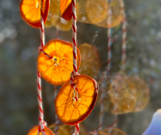 My homemade orange garland hanging in the window