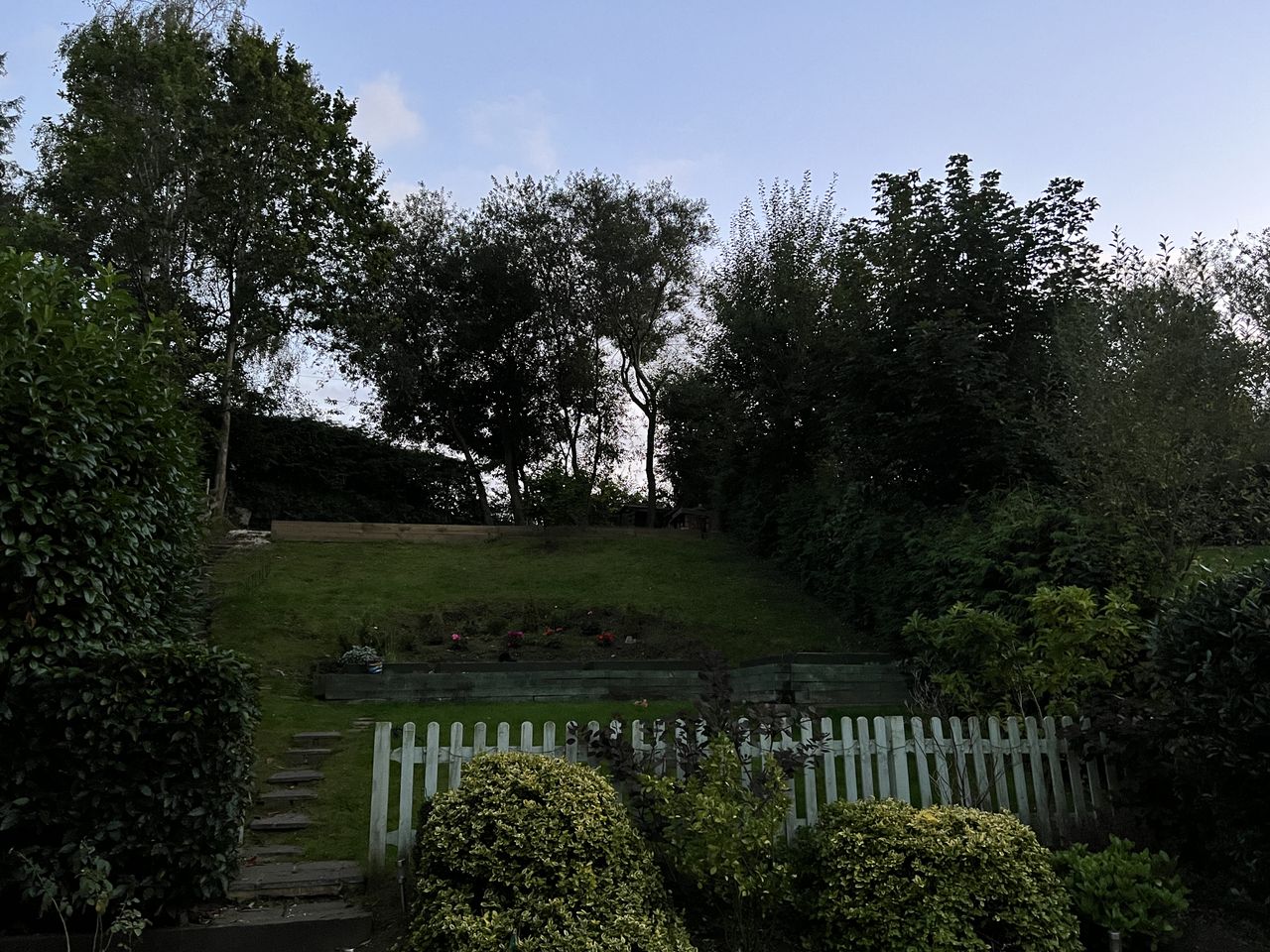 a night scene of a garden, with trees at the top and sweeping lawn
