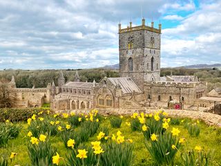 Yellow flowers infront of a big church